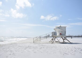 How a Health, Safety, Security and Environmental Management System Can Help Your Business