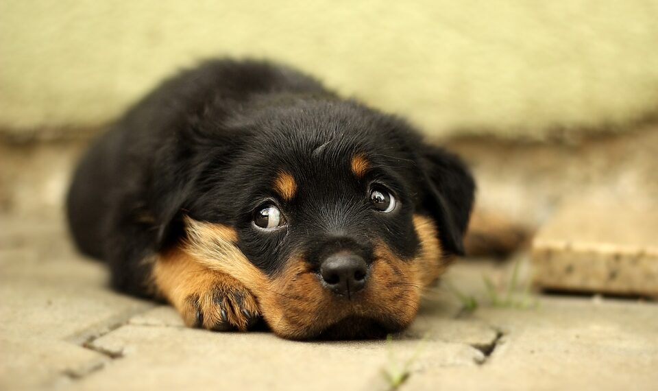 OSHA: The Key to a Safe and Healthy Workplace