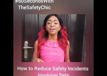 How to reduce safety incidents around pets