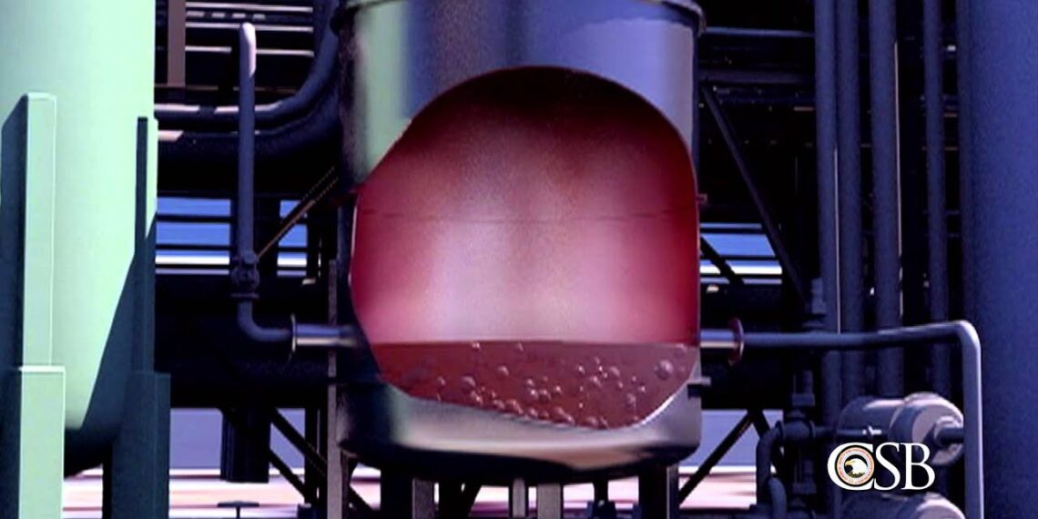 Reflections on Bhopal After Thirty Years