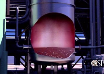 Reflections on Bhopal After Thirty Years