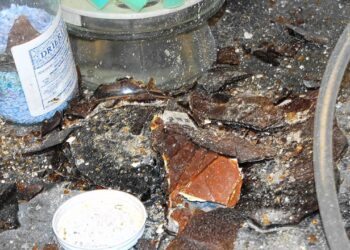 Experimenting with Danger